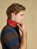 Joules Woody Cotton Pique Polo Shirt - Navy & Brown Stripe - Lucks of Louth