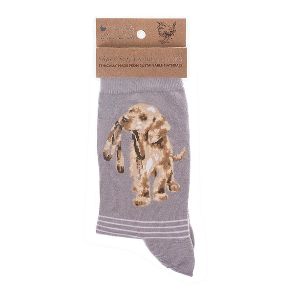 Wrendale Hopeful Labrador Socks - Lucks of Louth